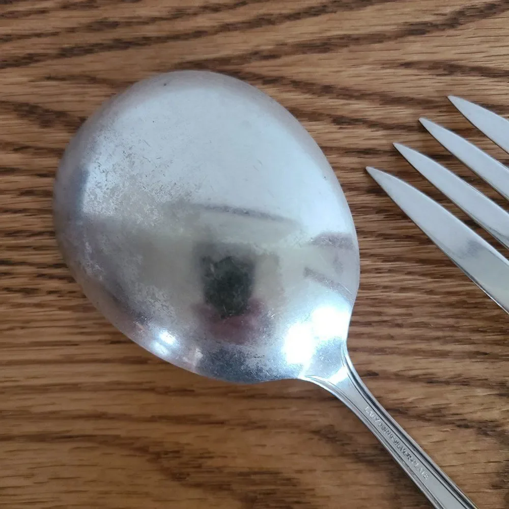 Vintage Wm. Rogers Princess Lady Doris Silver Plate Meat Fork and Serving Spoon